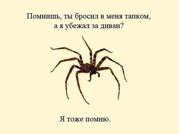 Позитивные картинки с надписями со смыслом из жизни (11 фото) Позитивные картинки с надписями со смыслом из жизни (11 фото)