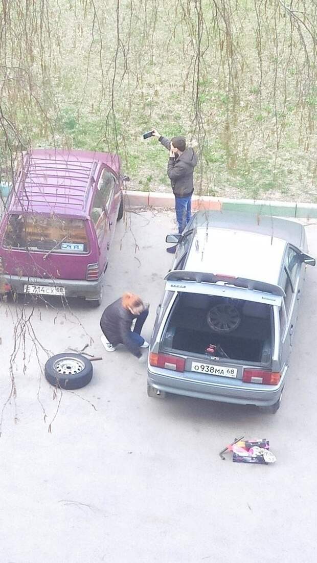 Странные парочки, попавшие в объектив фотокамеры