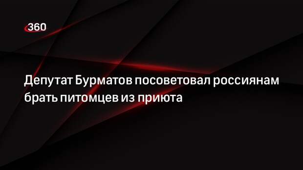 Депутат Бурматов посоветовал россиянам брать питомцев из приюта