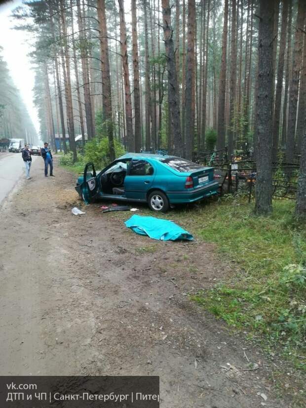 В Всеволожске пьяная девушка протаранила оградки на местном кладбище