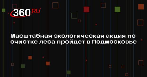 Масштабная экологическая акция по очистке леса пройдет в Подмосковье