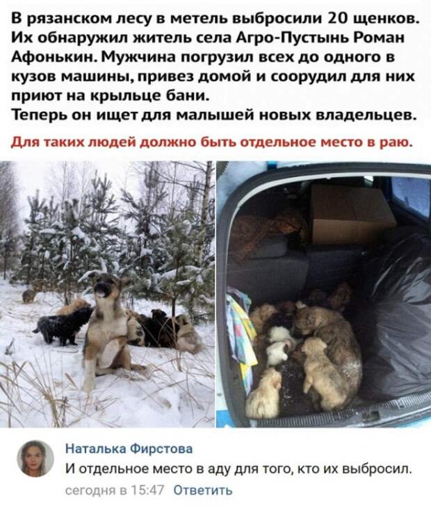 Доброта, которой нам так не хватает в ежедневных новостях Доброта, которой нам так не хватает в ежедневных новостях
