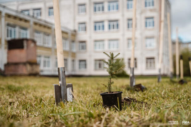 В Тверской области проходит акция «Аллея Героев», посвященная 80-летию Великой Победы и Году защитника Отечества