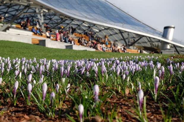 В Москве ожидается приход летнего тепла в первое воскресенье мая