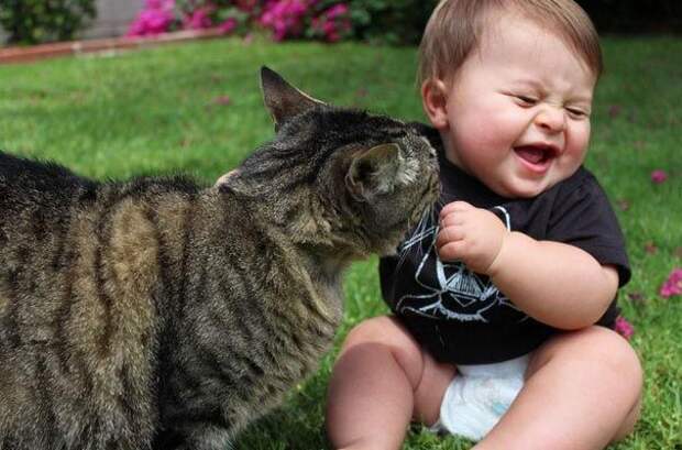 дети и коты, ребёнок и кот, kids with cats