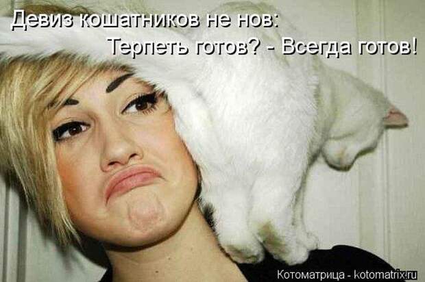 Мысли вслух :) 23 пушистые мыслишки