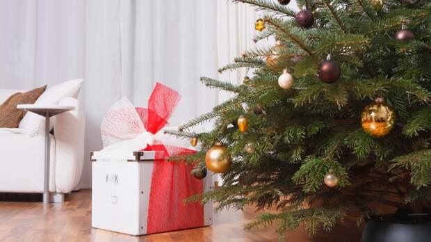 Биолог Воробьёв объяснил, как продлить срок жизни новогодней ёлки