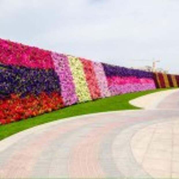 Dubai Miracle Garden