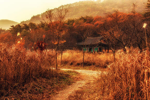 Осенний пейзаж в Южной Корее