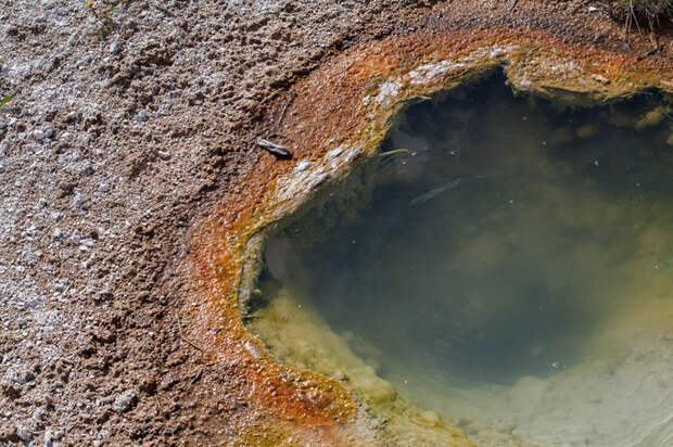 Йеллоустоун (Yellowstone)