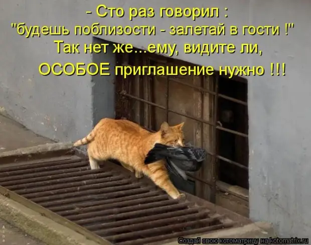 Мысли вслух :) 23 пушистые мыслишки