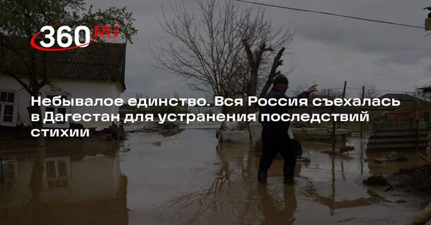 Депутаты Дагестана рассказали Путину, как вся Россия помогала региону