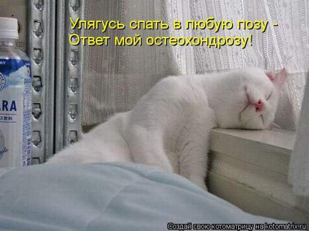Котоматрицы (картинки с надписями)