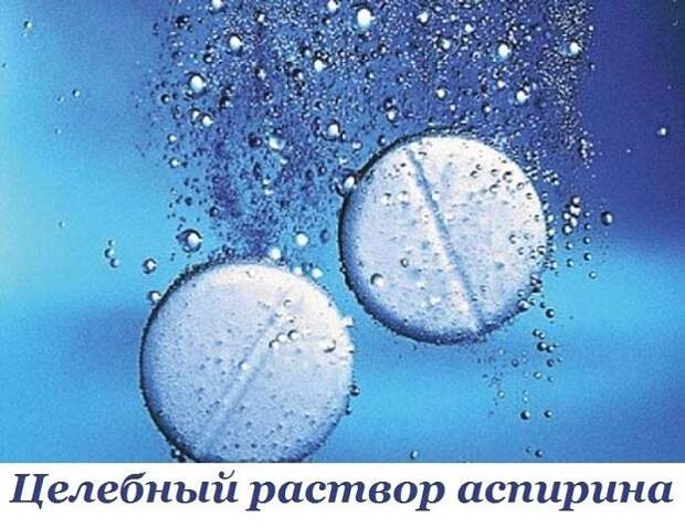 Картинки по запросу Целебный раствор аспирина лечит все (шпоры,варикоз,остеохондроз и т.д.)