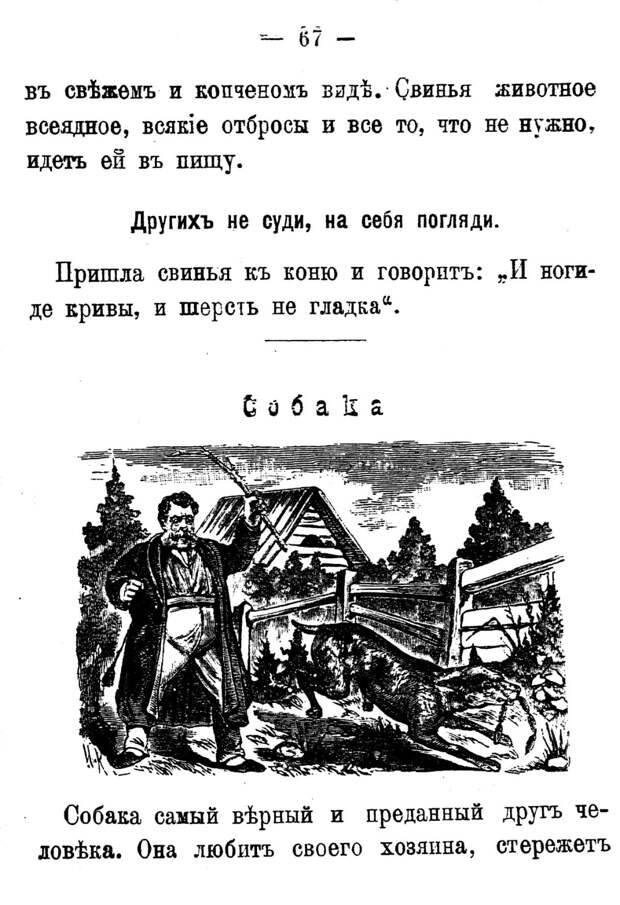 Полный самоучитель русской азбуки в зоологических картинах. 1896