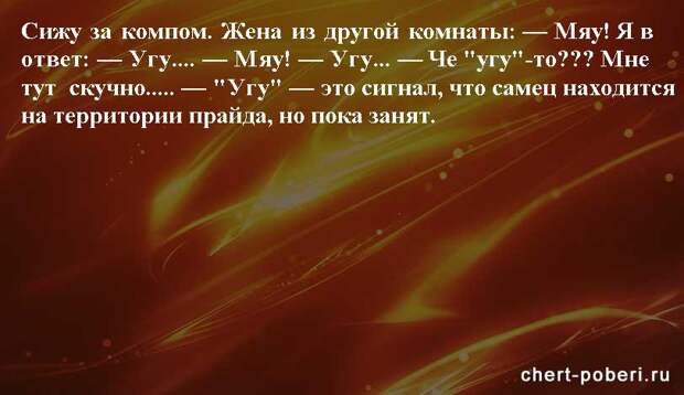 Самые смешные анекдоты ежедневная подборка chert-poberi-anekdoty-chert-poberi-anekdoty-25150303112020-5 картинка chert-poberi-anekdoty-25150303112020-5