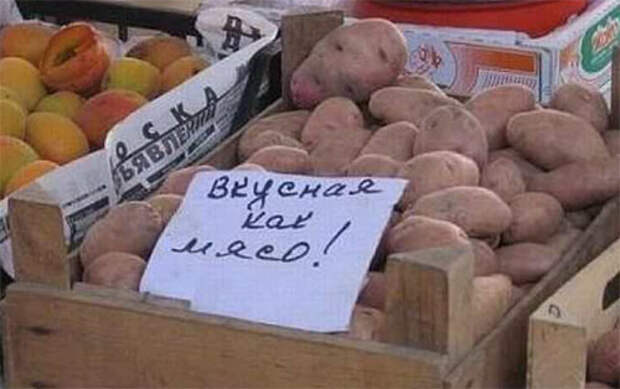 Смешные надписи