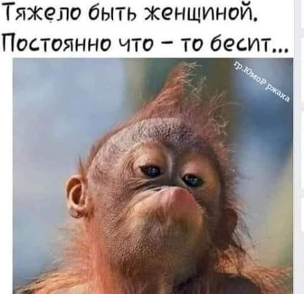 Деревенского парня перед свадьбой наставляет батюшка...