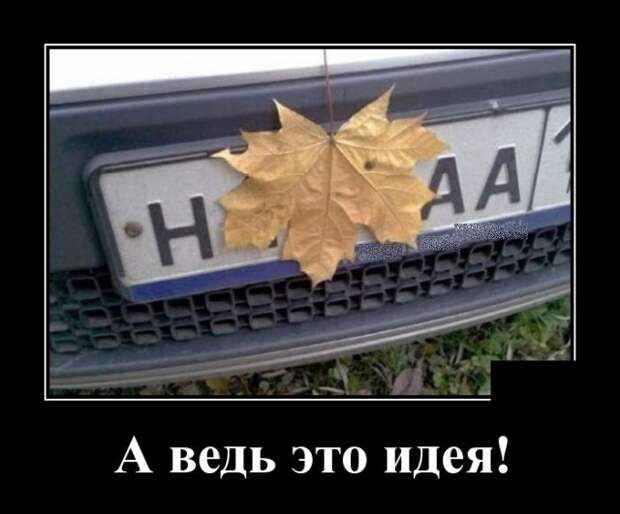 Демотиваторы (20 фото)