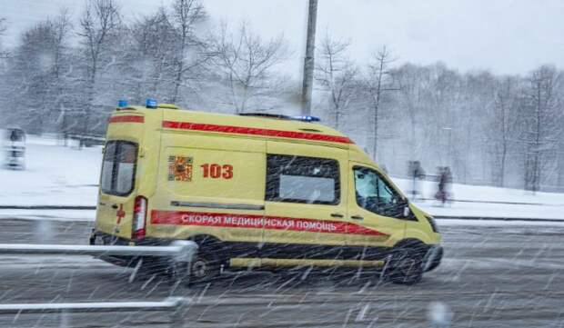 ДТП в Псковской области привело к смерти двух пассажиров
