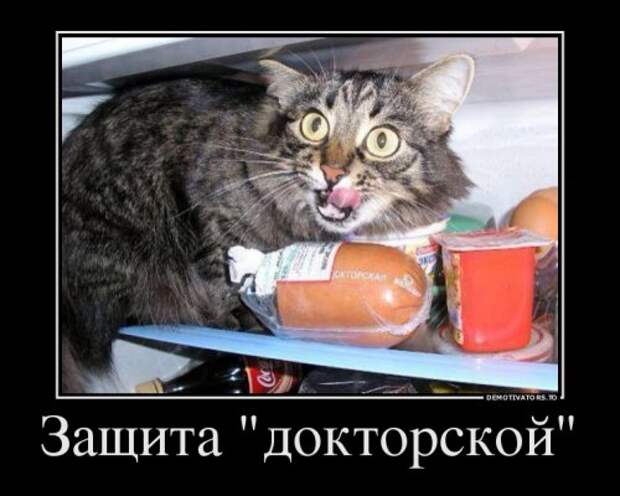 Демотиваторы-новинки (18 шт)