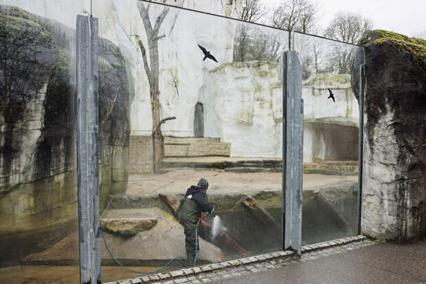 Зоопарк Карлсруэ сообщил об устроенном неизвестными вандалами ночном погроме