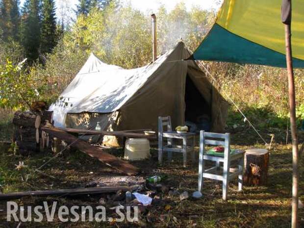 На Украине строят палаточные городки для заражённых коронавирусом (ФОТО, ВИДЕО) | Русская весна