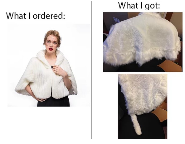 FotorCreated