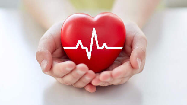 Омоложение организма связано с улучшением здоровья сердца