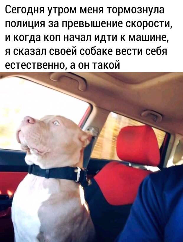 Максимально естественен Максимально естественен