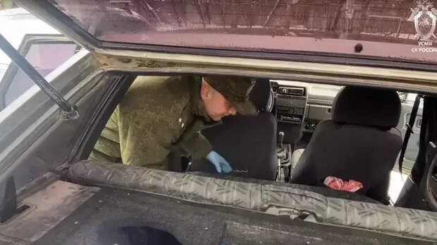 Поисковик раскрыл детали операции по спасению похищенной девочки в Смоленске