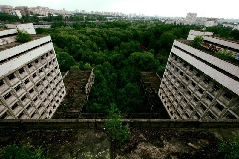 Ховринская больница — пожалуй, самое известное заброшенное здание Москвы город, заброшенная больница, заброшенное, москва, реновация, ховринская больница, эстетика