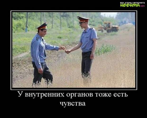 Классная подборка демотиваторов