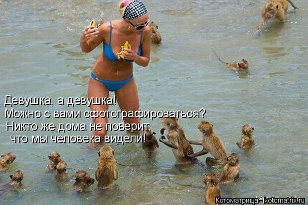 Котоматрица: Девушка, а девушка! Можно с вами сфотографироваться? Никто же дома не поверит,  что мы человека видели!