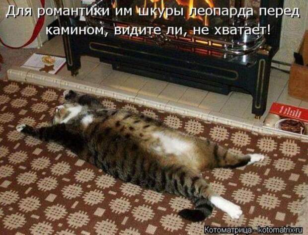 Котоматрицы (картинки с надписями)