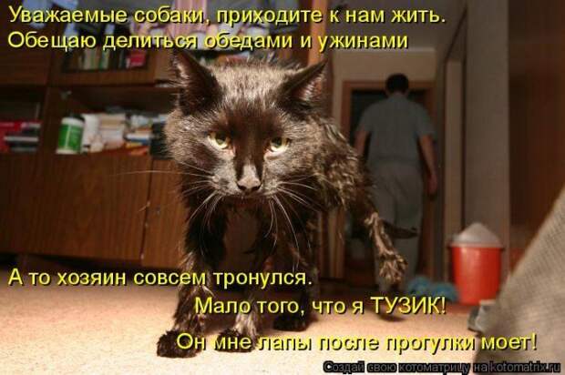Мысли вслух :)
