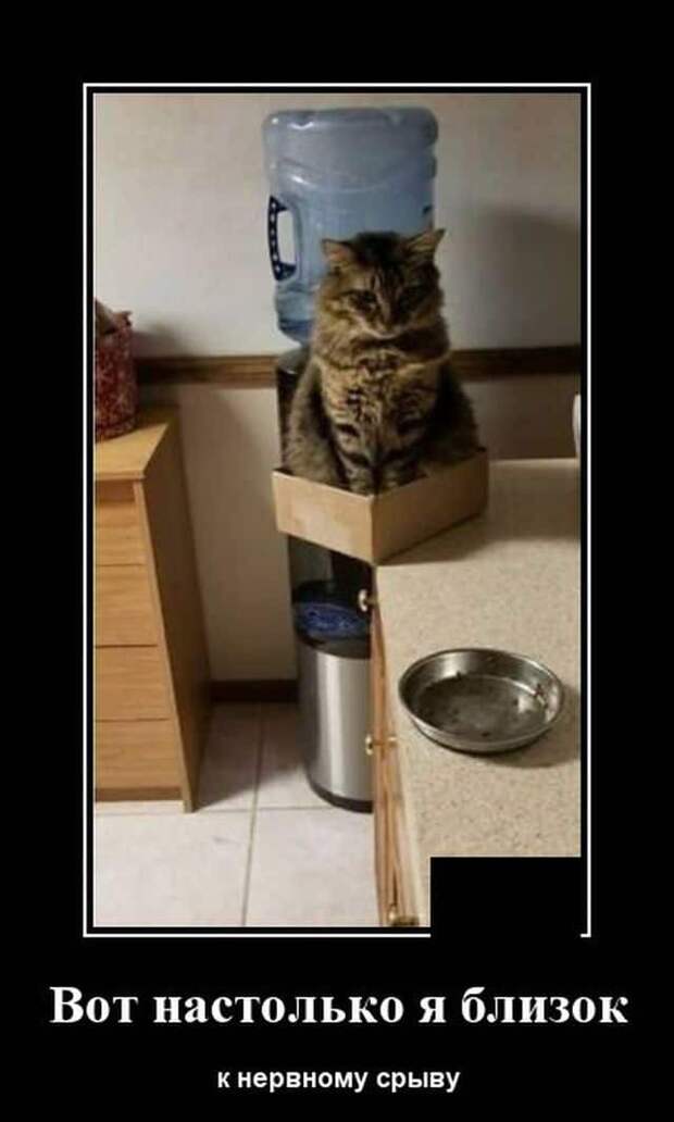 demotivatory-kartinki-smeshnye-kartinki-fotoprikoly