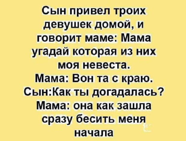 Несколько веселых историй