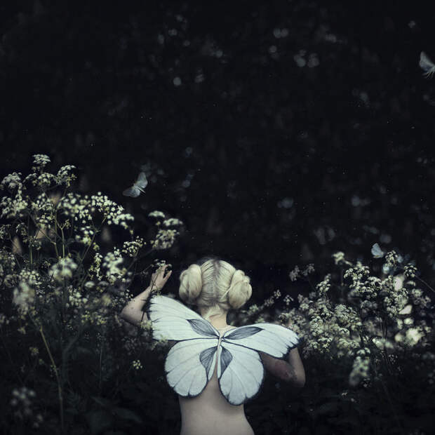Бабочка. Автор: Stеphanie Peаrl.
