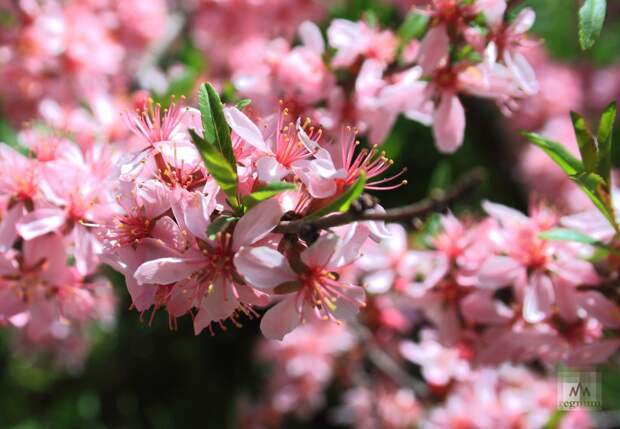 Доцент Балынин: в мае россияне отдохнут 12 дней