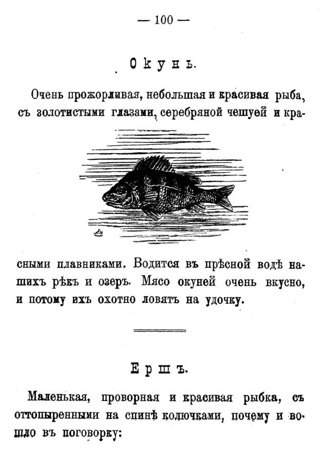 Полный самоучитель русской азбуки в зоологических картинах. 1896