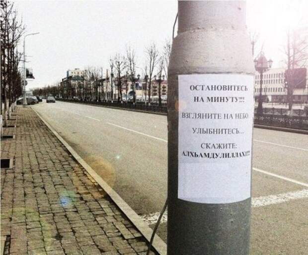 Смешные объявления, вывески и реклама (20 фото)