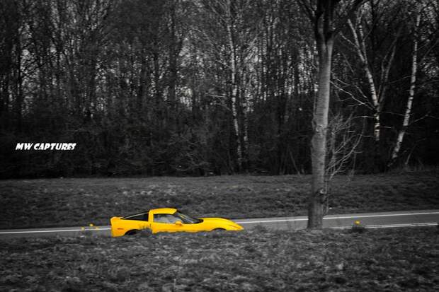 Встреча поклонников марки Wiesmann (27 фото+4 видео) Встреча поклонников марки Wiesmann (27 фото+4 видео)