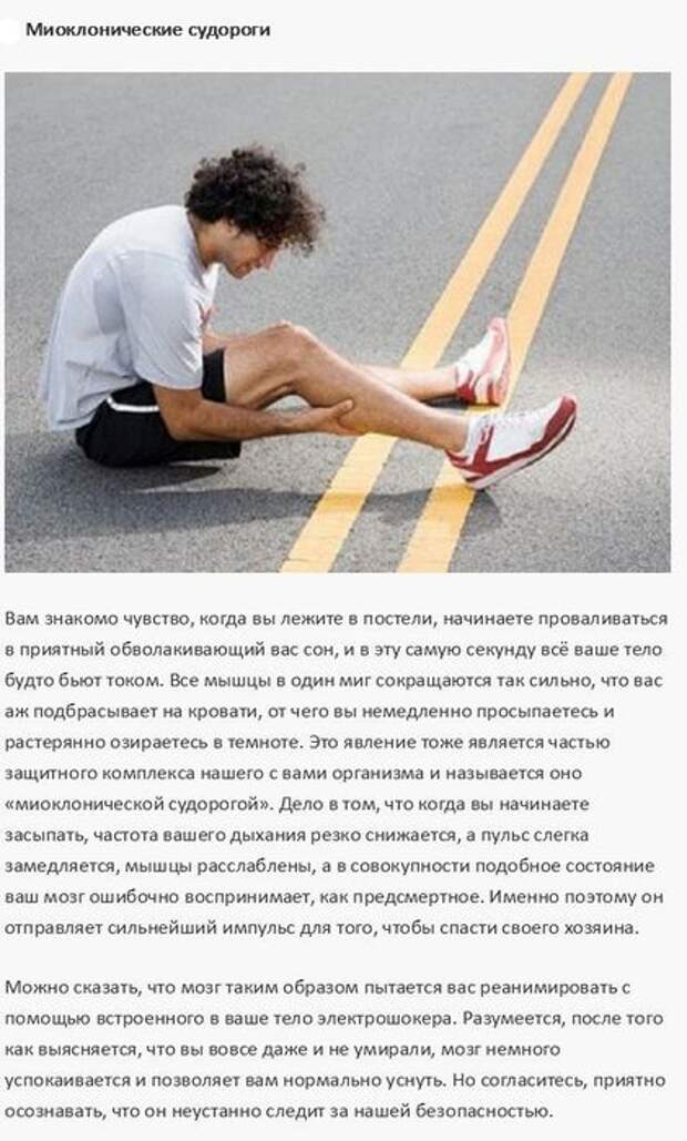 73280e8ee320061e34815209841363de (421x700, 65Kb)