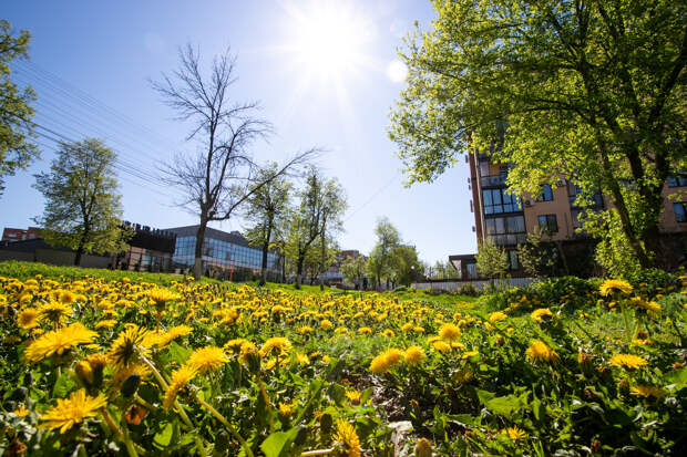 Майские праздники 2026 в Туле и Тульской области: как отдыхаем, программа мероприятий и парад Победы