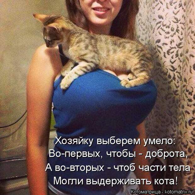 Котоматрица: Хозяйку выберем умело: Во-первых, чтобы - доброта, А во-вторых - чтоб части тела Могли выдерживать кота!