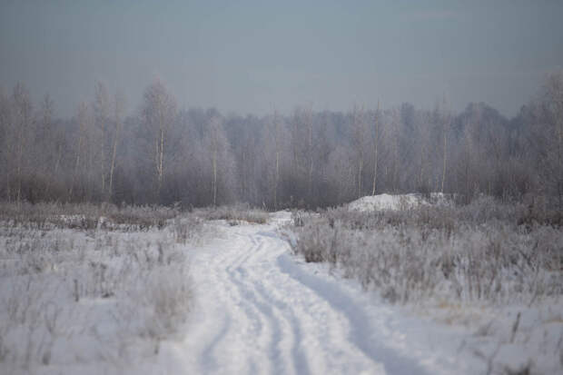 Аэродеревню в Заокском районе выставили на продажу за 70 млн рублей