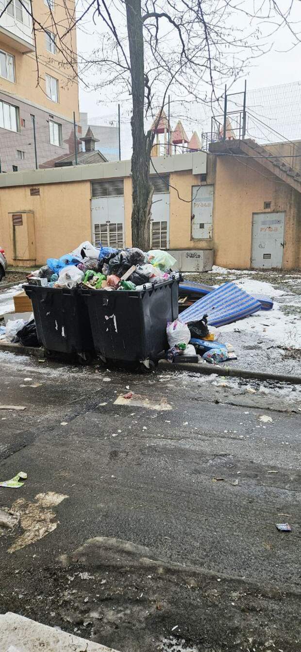 Не вывозят с конца декабря мусор по адресу пр Мира 3