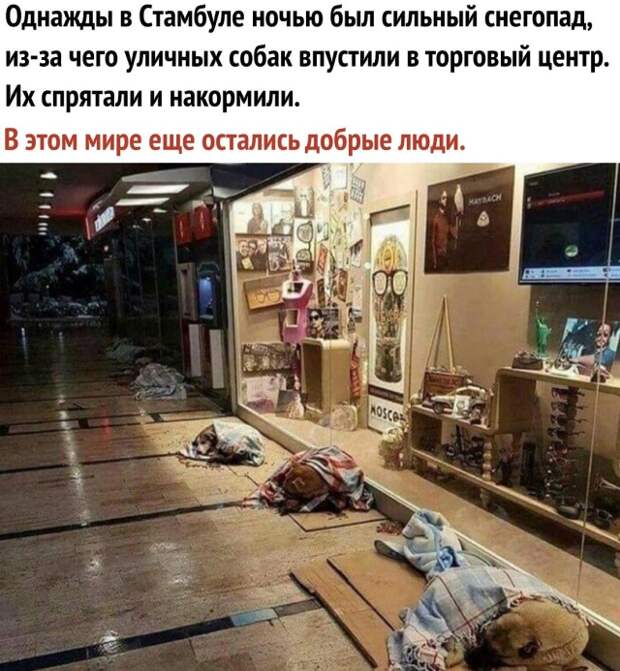 Доброта, которой нам так не хватает в ежедневных новостях Доброта, которой нам так не хватает в ежедневных новостях
