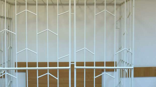 Суд оставил в силе приговор экс‑директору лицея в Славгороде, который совращал детей